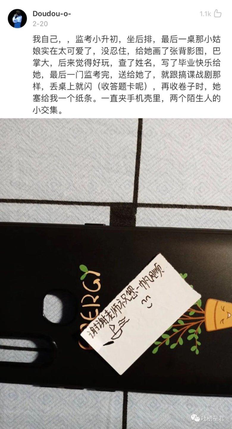 植物大战僵尸13