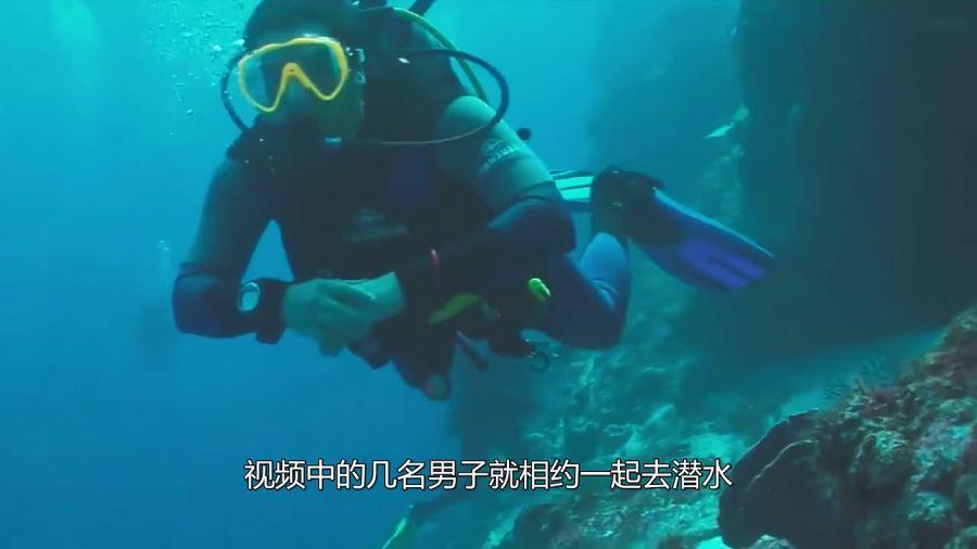 多燕瘦:方便面的翻身路,搭配与改变的妙招