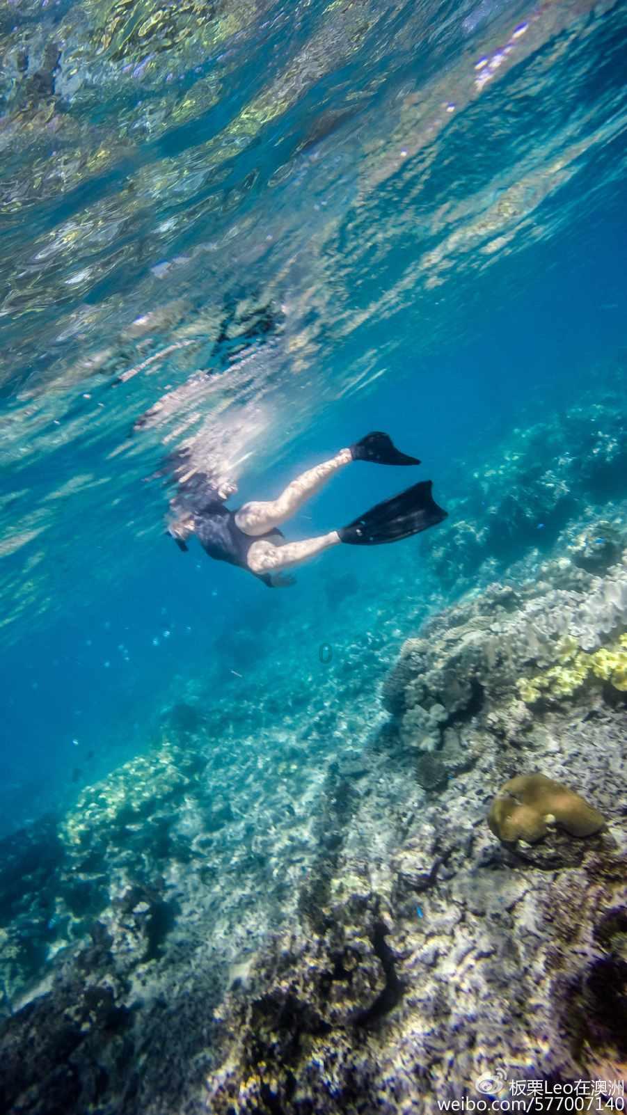 除夕当天开放签证互免 新加坡旅游热度上涨