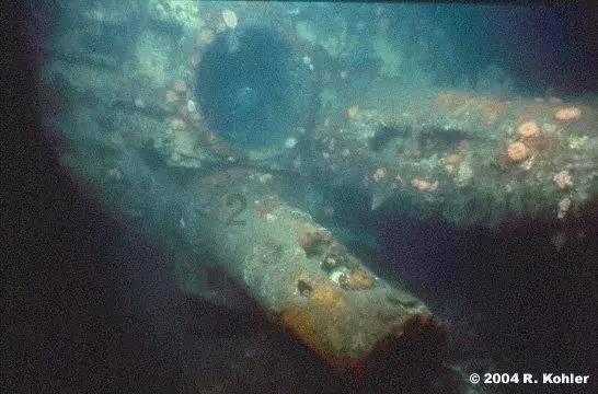 小猫钓鱼正版下载中文版