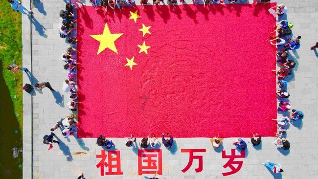 逃离诡异的森林