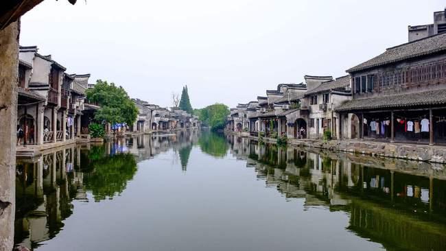 只粉一个明星叫什么